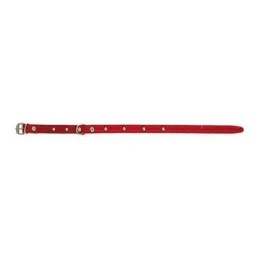 COLLAR PERRO FORNITURA 01005