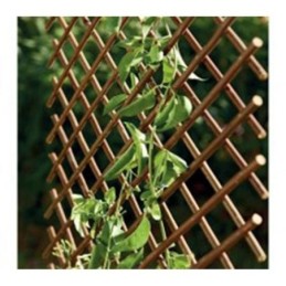 CELOSIA EXTENSIBLE DE...